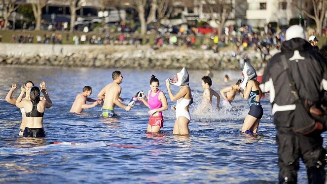 The Polar Bear Swim