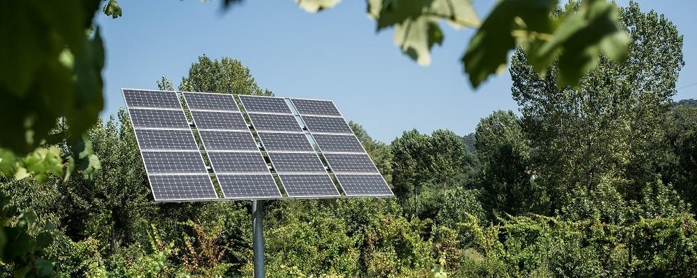 EcoFlow’s 220W Bifacial Solar Panel: A Game-Changer for Portable Power
