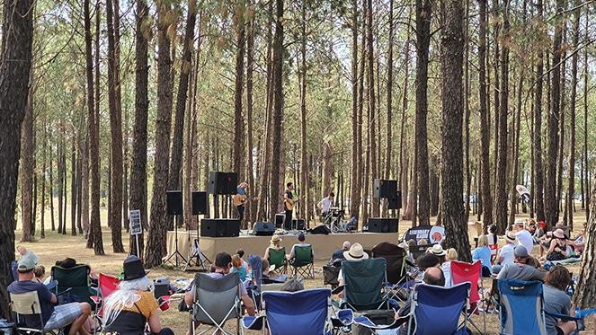 Forest Sessions Returns To Casalinga Organic Farm