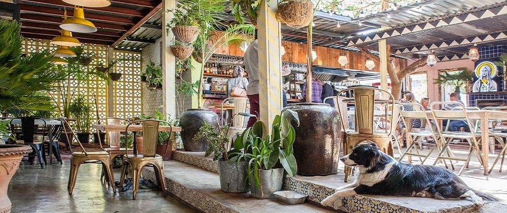 Razor Charlie: Latin American Flair in Sandton