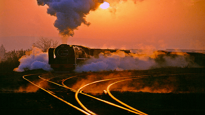 Valentine's Day Train Trip