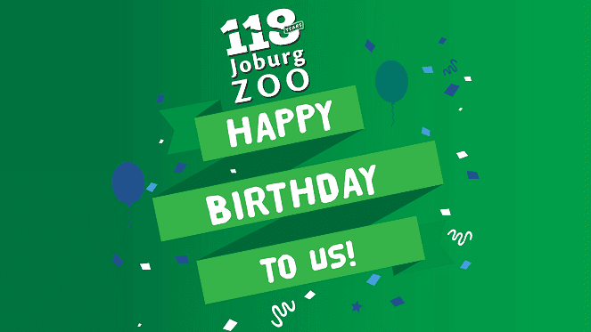 Exciting News, The Joburg Zoo Turns 118 Years Old!