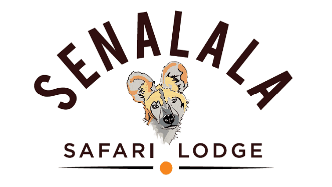 Experience The Ultimate Safari Getaway At Senalala Safari Lodge