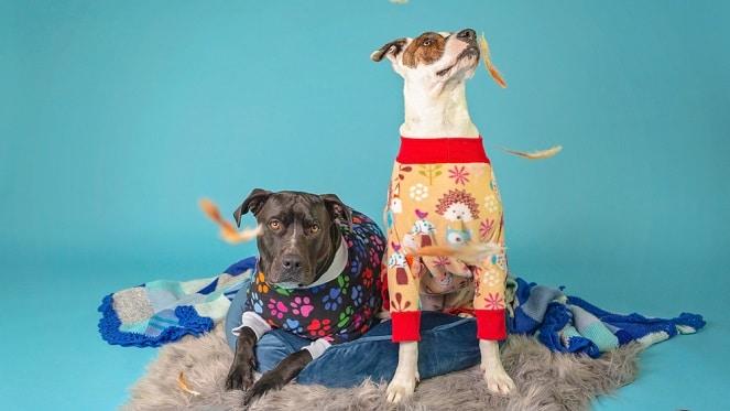 PAWS for Love - Woodrock's Annual Sleepover