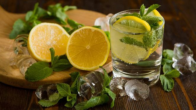 Gin Connoisseur Tasting With Time Anchor Distillery