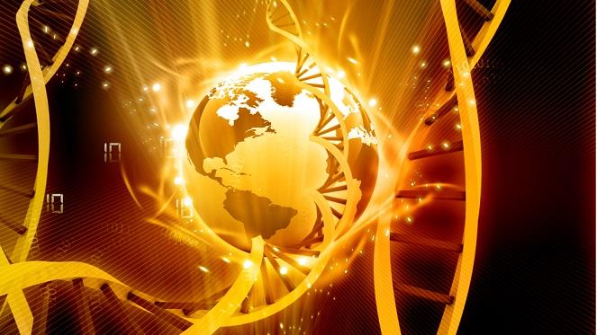 The Origins Centre Visit