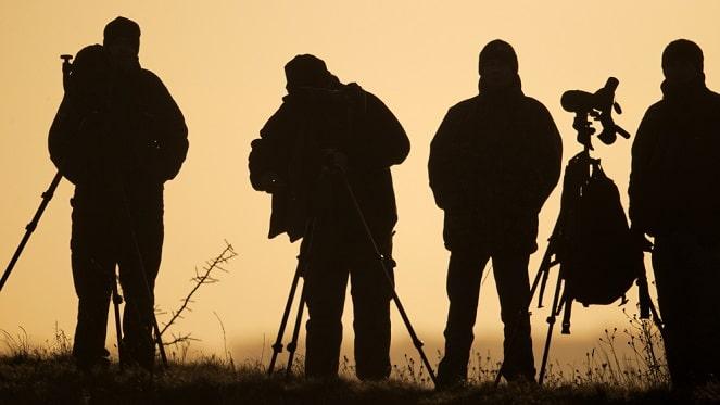 Where To Go Bird Watching Around Town