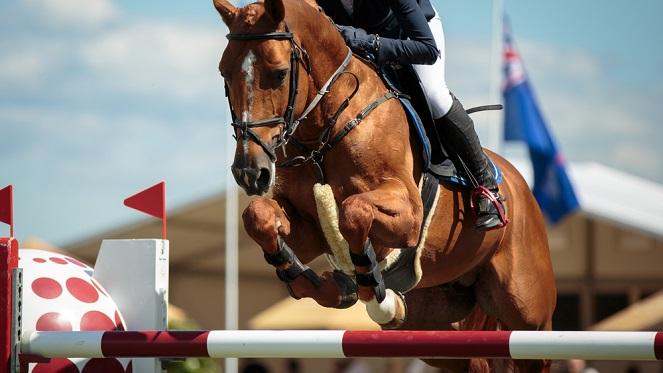 What To Get Up To In Jozi During Durban July