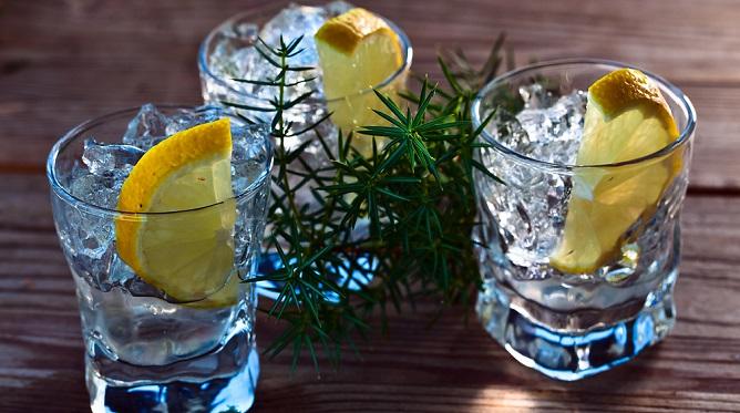 2nd Annual Soweto Gin Festival