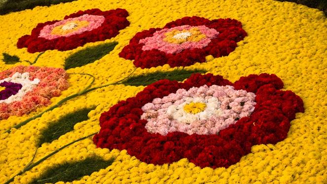 Free State Madeira Flower Festival