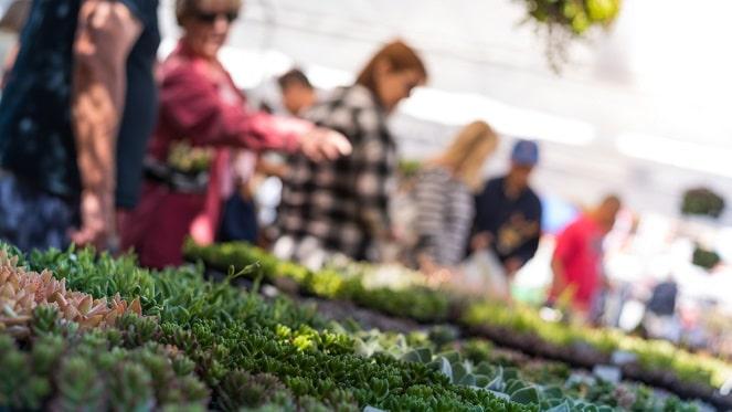 Spring Plant Sale At Garden Of St. Christopher