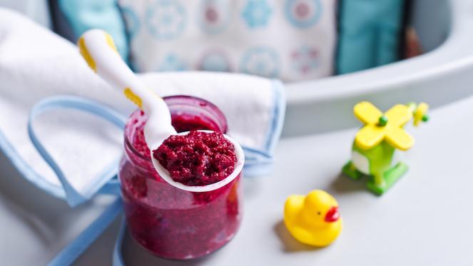 Homemade Baby Food Businesses