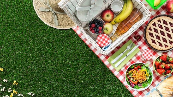 Hartenberg Family Picnic Day