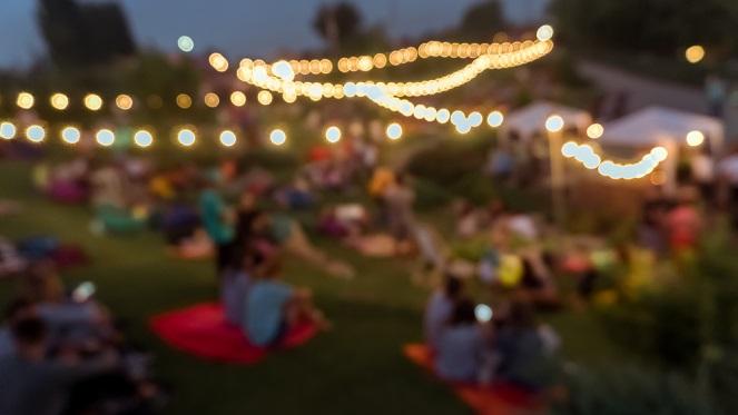 Walter Sisulu Moonlight Picnic