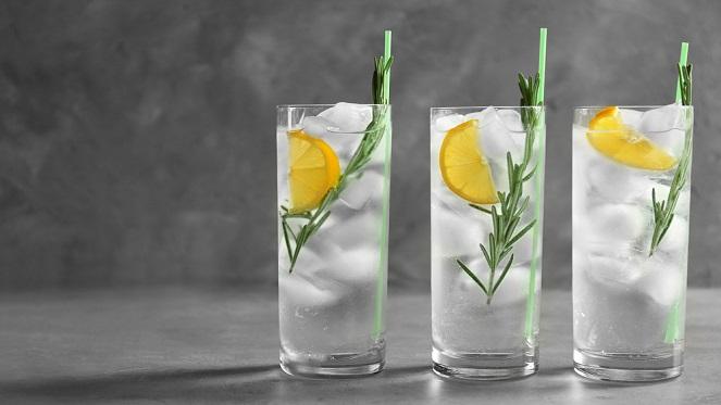 The Gin Garden Bedfordview - June Edition