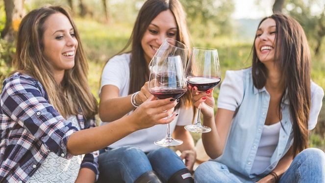 Country And Wine Festival At Marechelle Country Estate