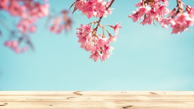 Mission: Get Ready For Spring Has Commenced!