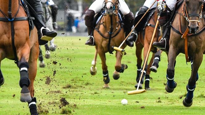 Inanda High Goal Invitational 2018 Starts Polo Season