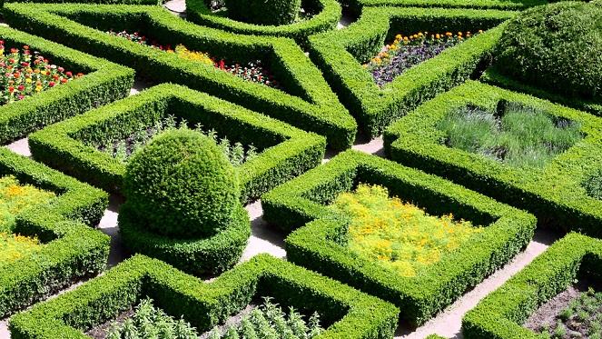 The Autumn Garden Show