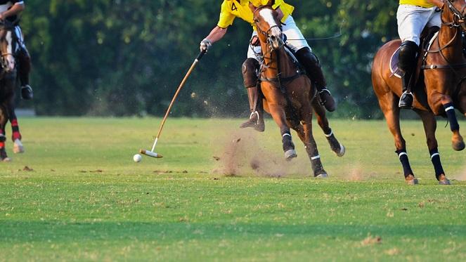 Nedbank International Polo 2019