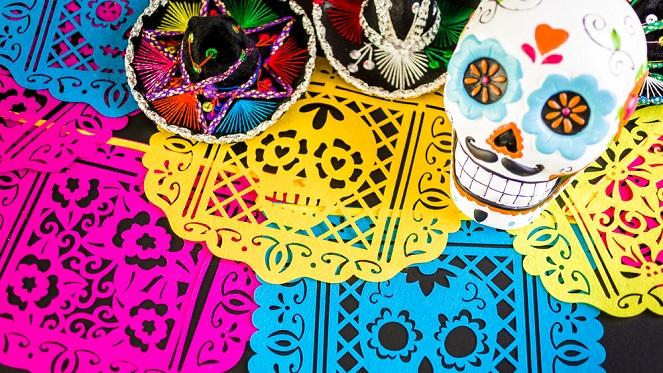 Top Festivals In Joburg 2019