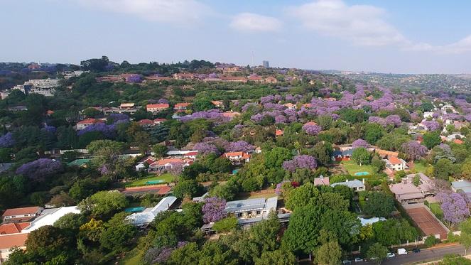 The Rich History Of Westcliff