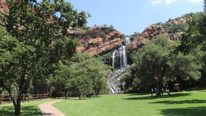 It's a biodiverse world at Walter Sisulu Botanical Gardens