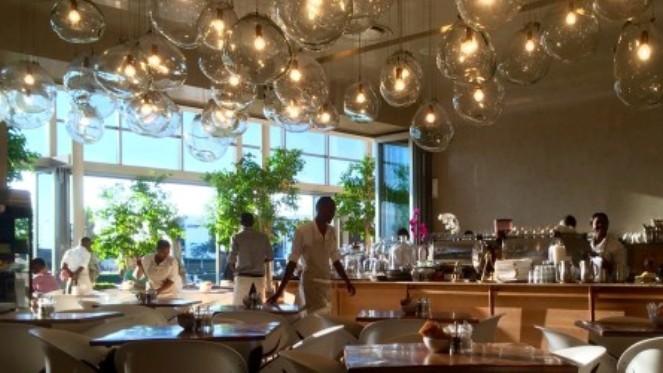 Tashas Revamps Their Beloved Classic Menu