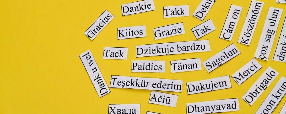 Tongue Tied? — Language Schools In Joburg