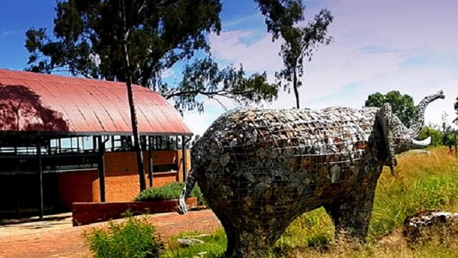 Irene Village Market