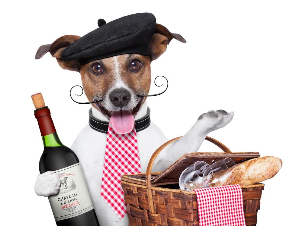 The Thursday Thing - Le Pique-nique à la Table