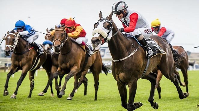 Don't Miss Joburg’s Classic Day at Turffontein Racecourse