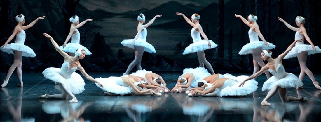 Additional Performances For Swan Lake's Joburg Season