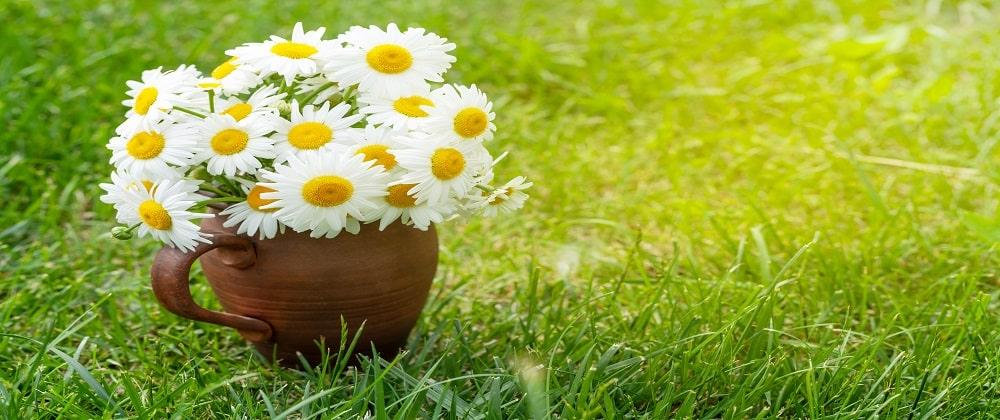 Embrace The Arrival Of Spring In Joburg