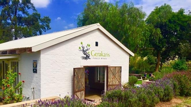 Wine Tasting at Joburg's Own Local Vineyard