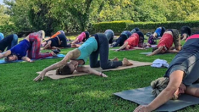 Slow Art And Yoga At Nirox Sculpture Park