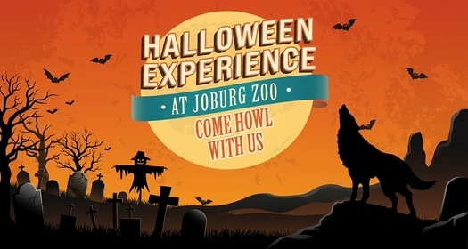 Halloween Experience at Johannesburg Zoo