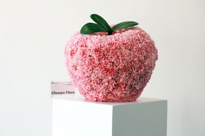 Nomisupasta: In Full Bloom
