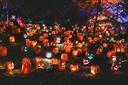 The Haunted Forest – 10 Year Anniversary