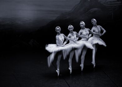 Carmen: The Ballet
