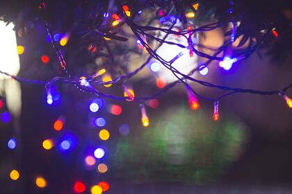 Festival of Lights