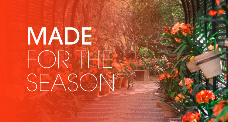 Babylonstoren in Bloom Brings a Taste of Babylonstoren to Hy...